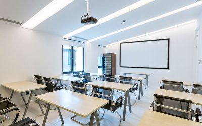 Bordeaux : Le Secret des Formations qui Transforme une Passion en Métier Lucratif